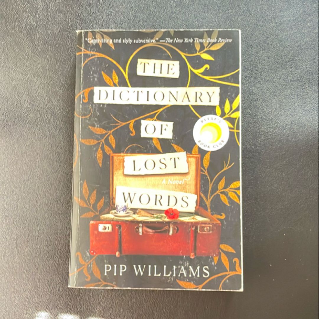 The Dictionary of Lost Words