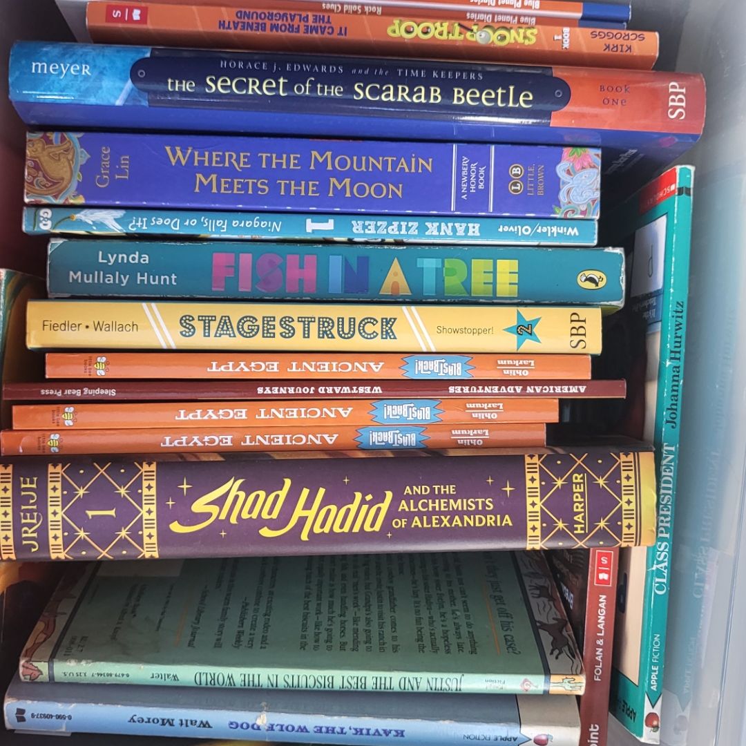 Annie's Shelf