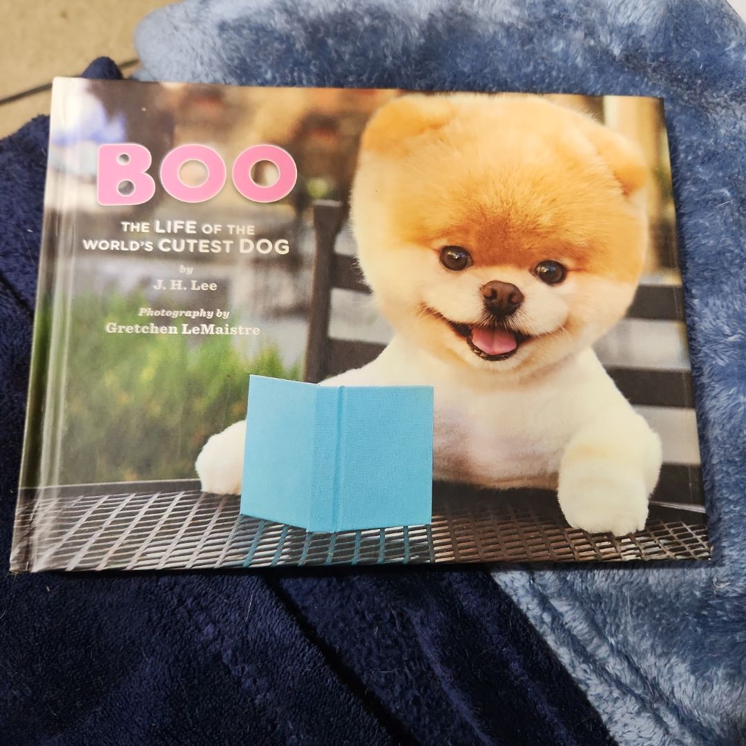 Boo