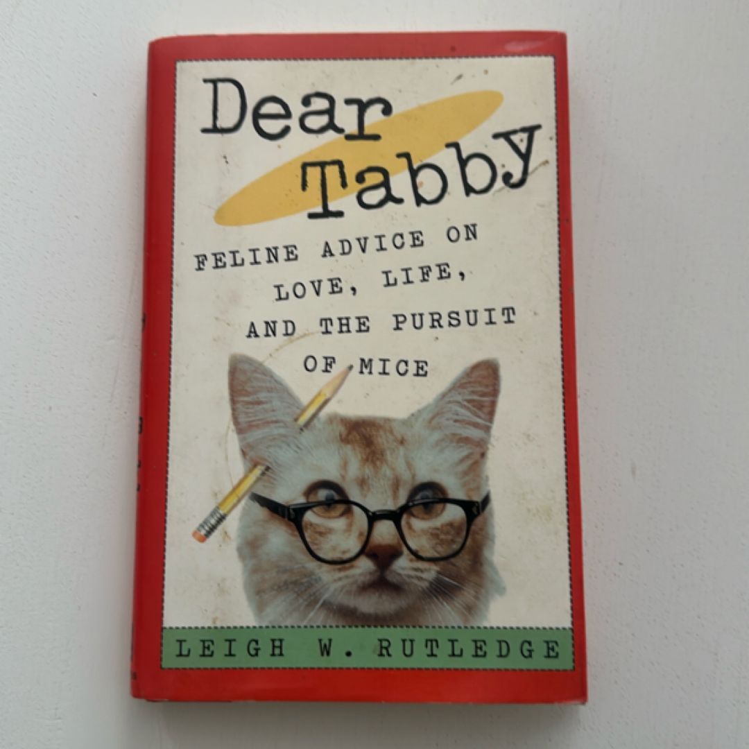 Dear Tabby