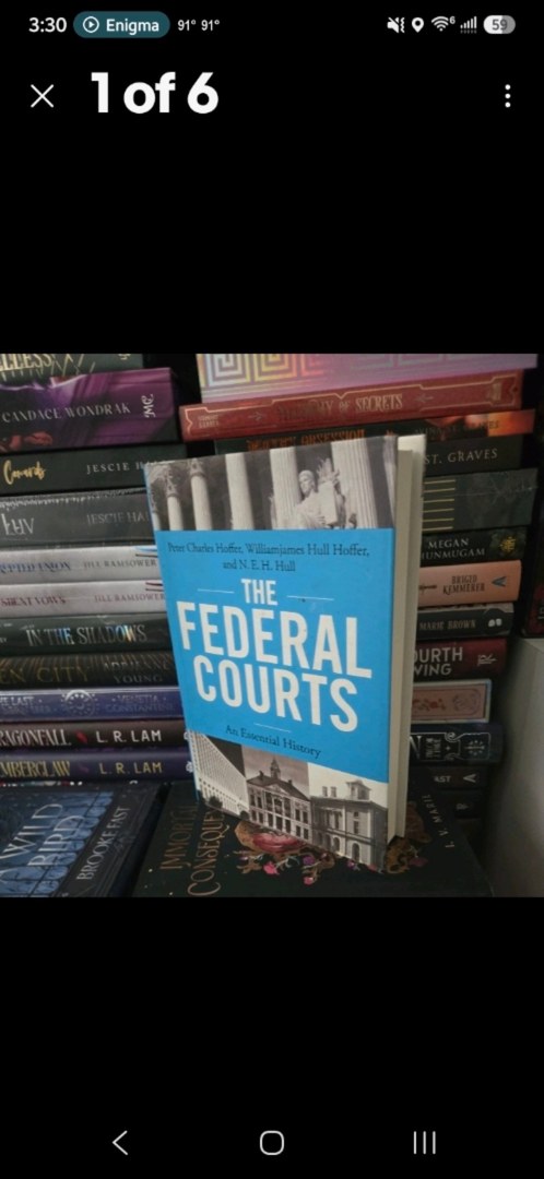 The Federal Courts