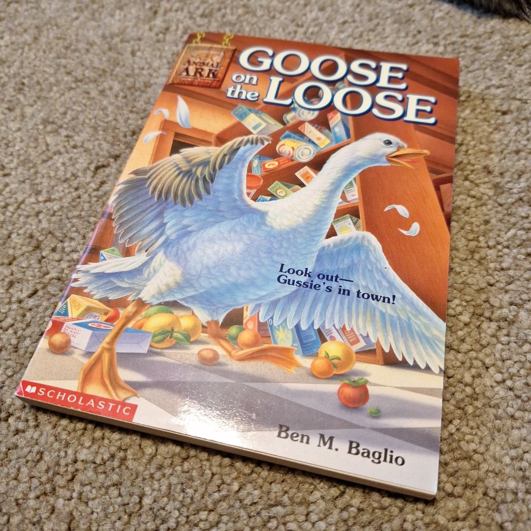 Goose on the Loose