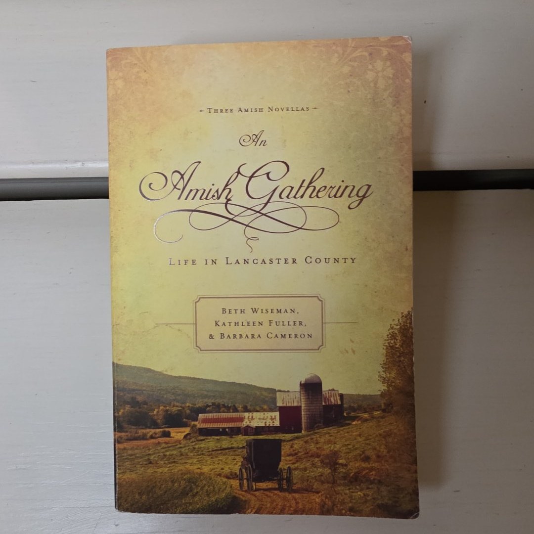An Amish Gathering
