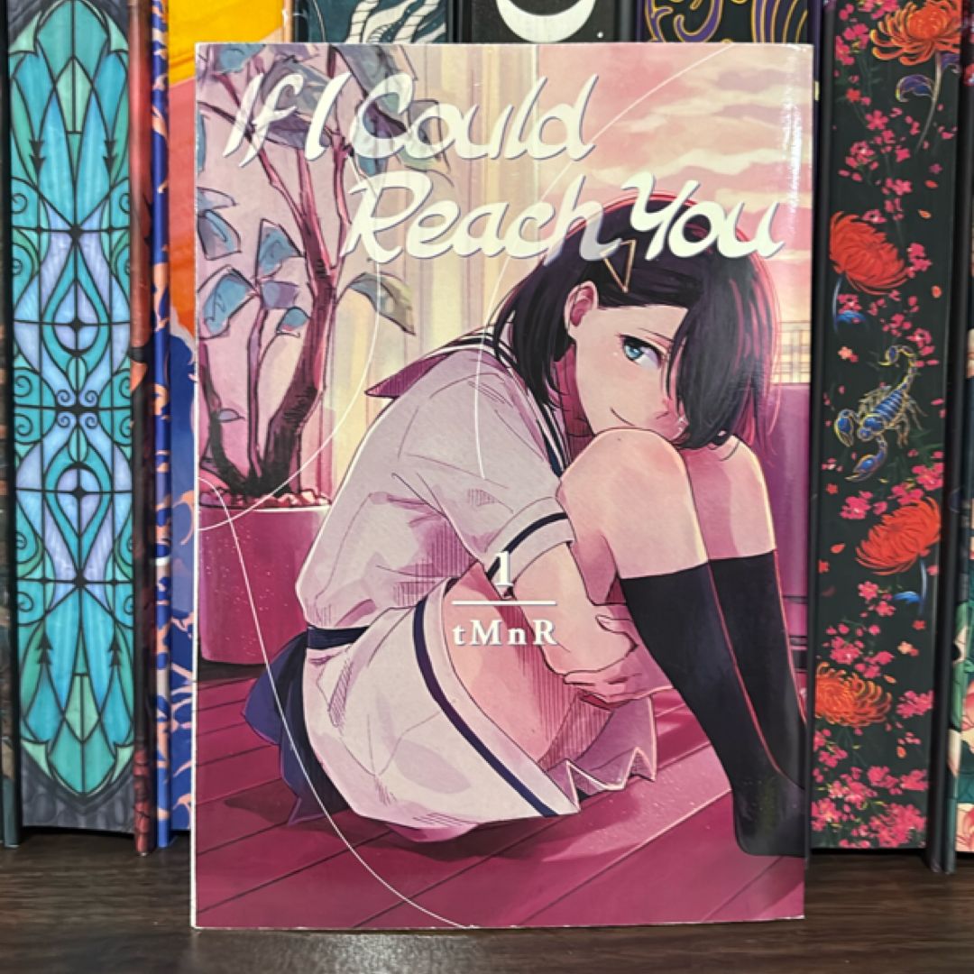 If I Could Reach You 1