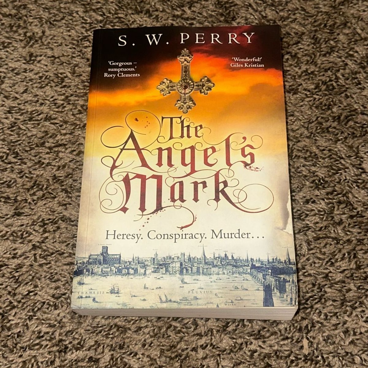 The Angel's Mark by S. W. Perry