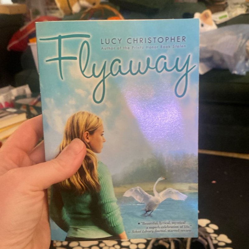 Flyaway