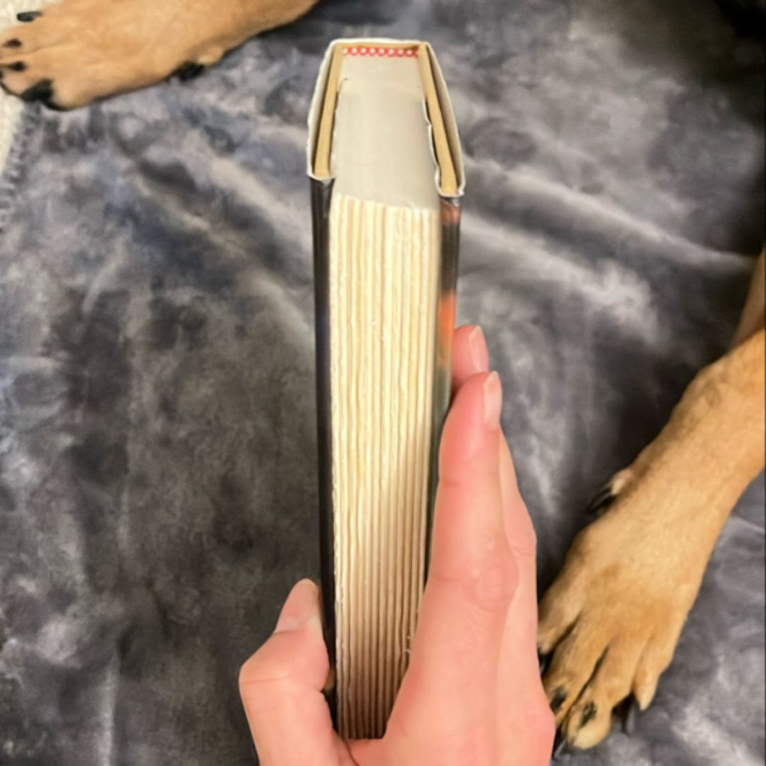 When the Killing's Done