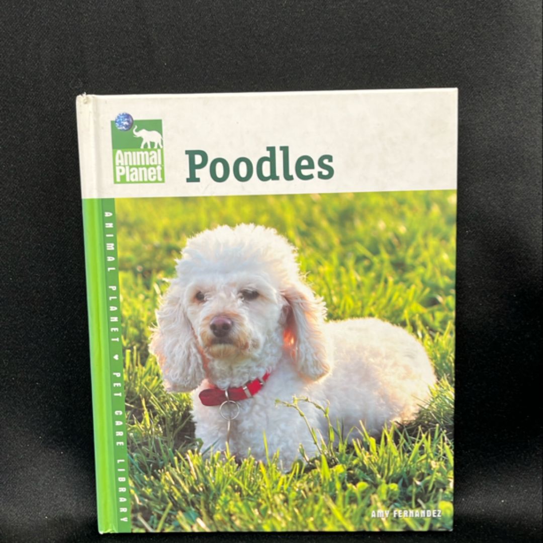 Poodles by Amy Fernandez, Hardcover | Pangobooks