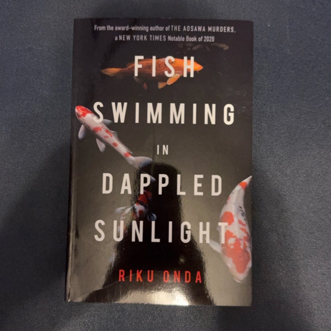 Fish Swimming in Dappled Sunlight