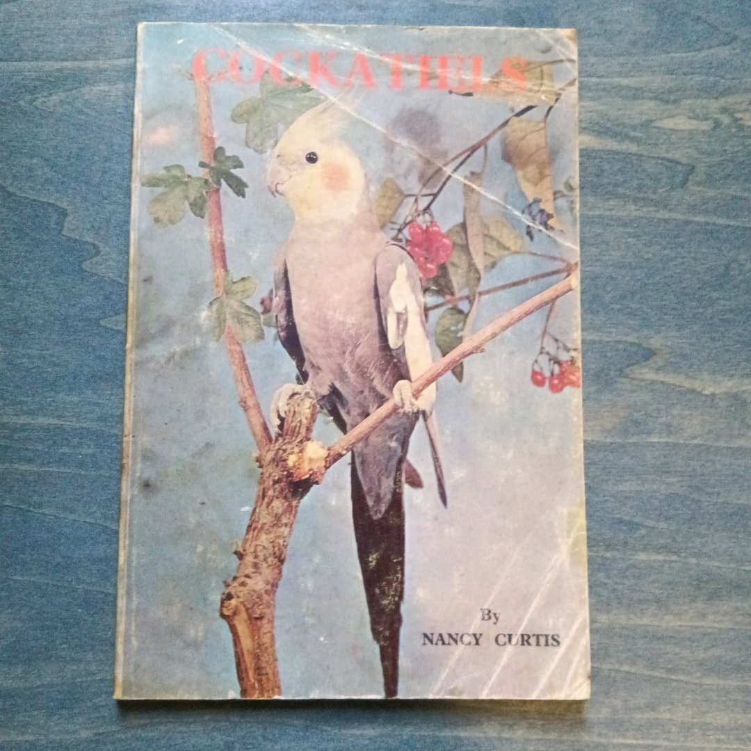 Cockatiels 