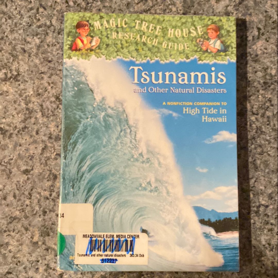 Tsunamis and Other Natural Disasters