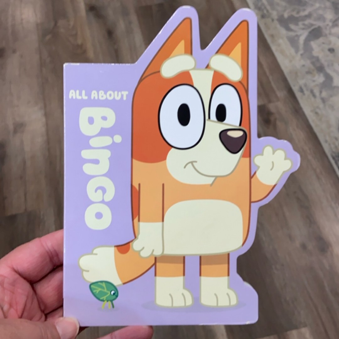 Bluey: All about Bingo