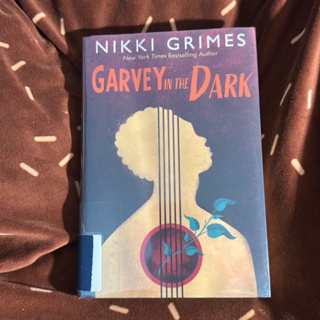 Garvey in the Dark