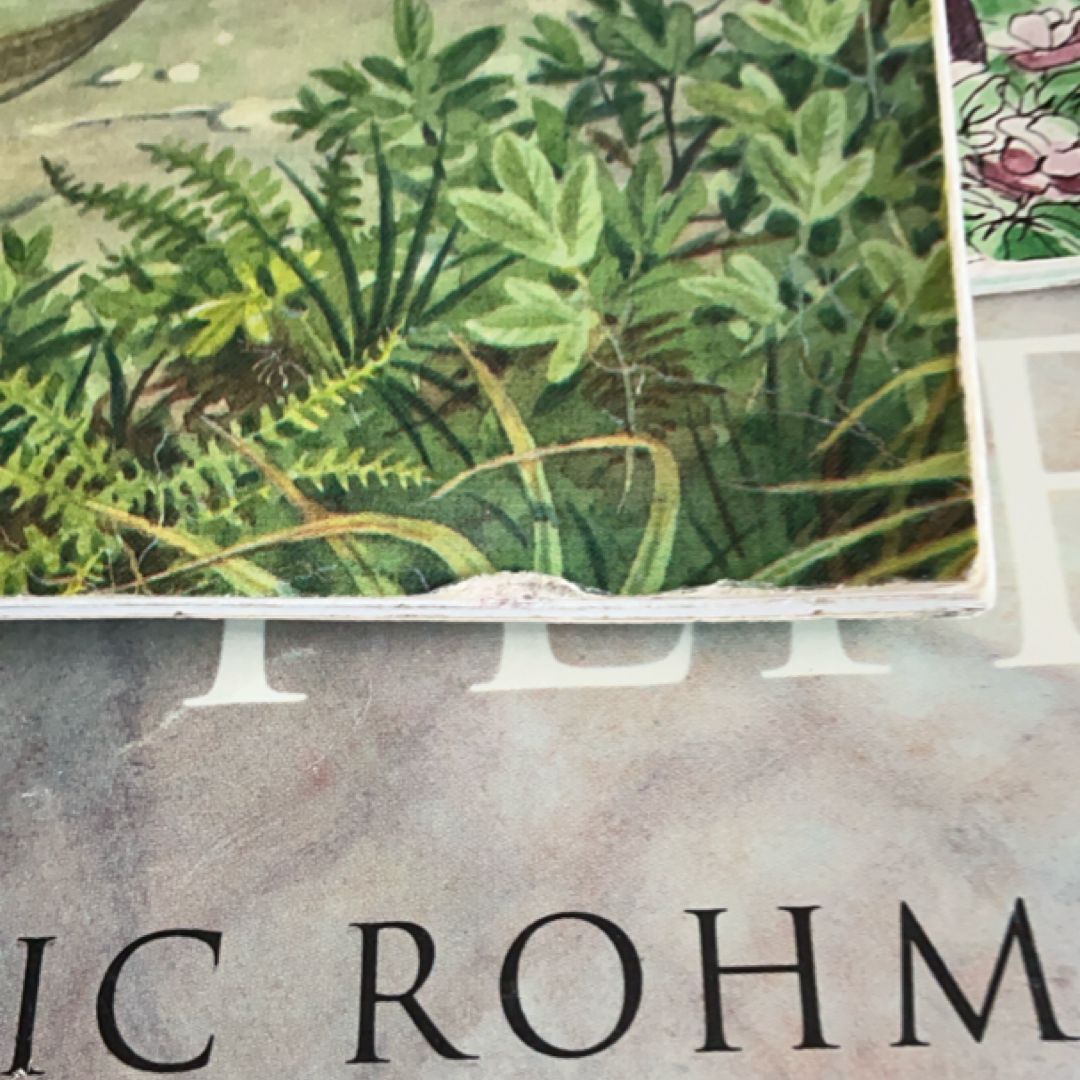 Dinosaur Book Bundle 