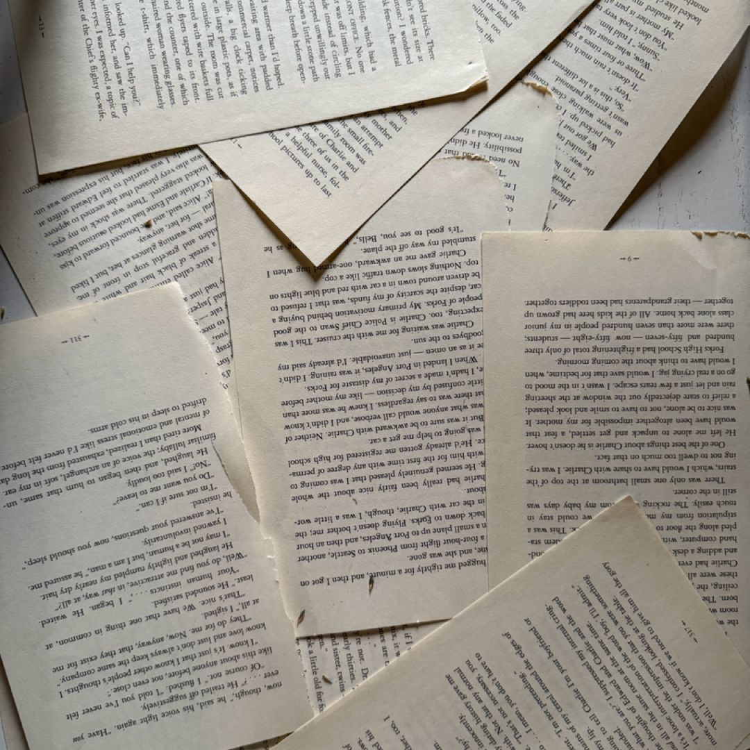 booksbooksbooks