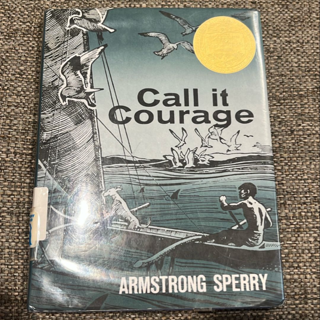 Call It Courage