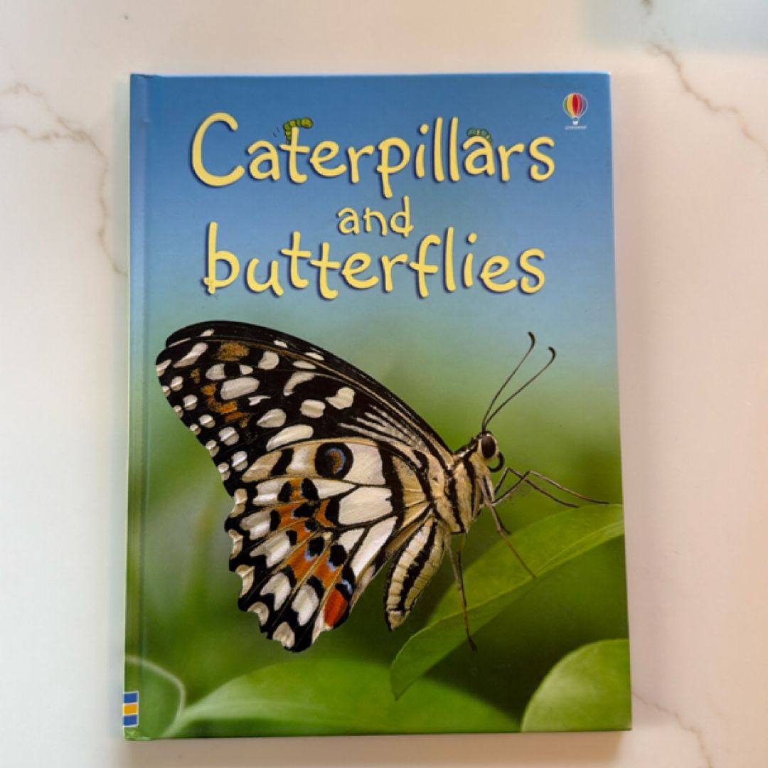 Caterpillars and Butterflies