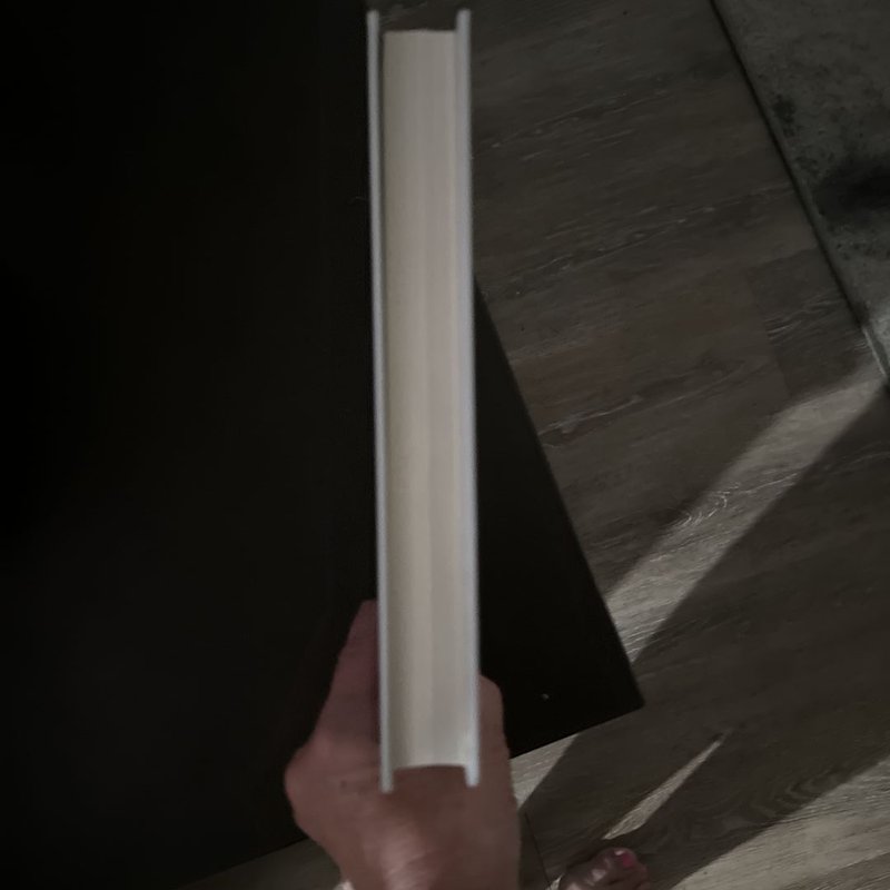 How Quickly She Disappears