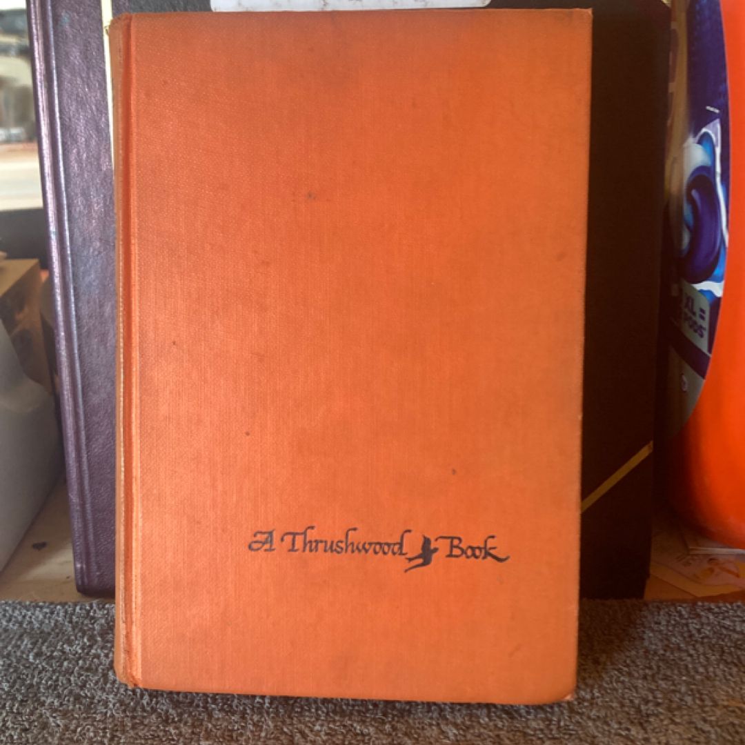 Rebecca of Sunnybrook Farm (VINTAGE 1917)