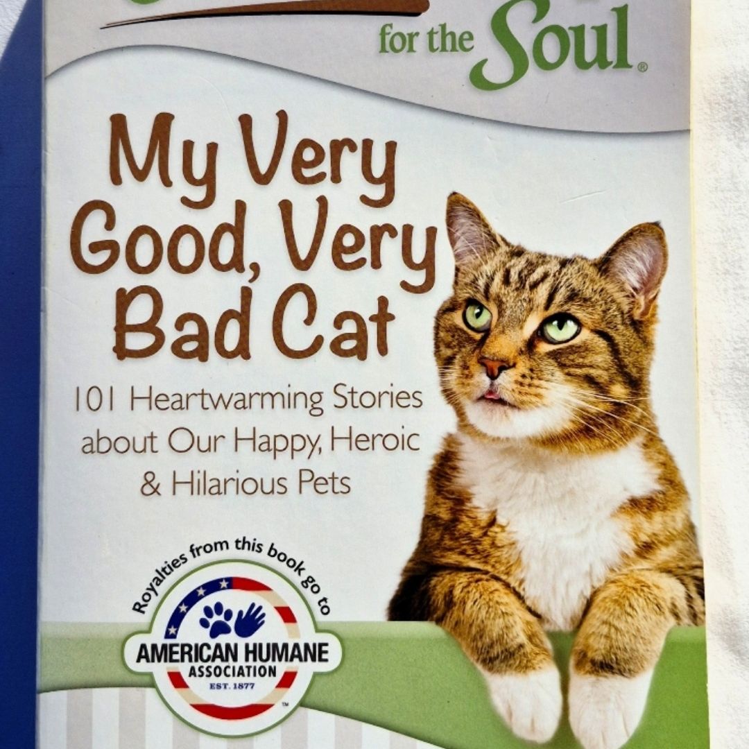 Chicken Soup for the Soul: My Very Good, Very Bad Cat