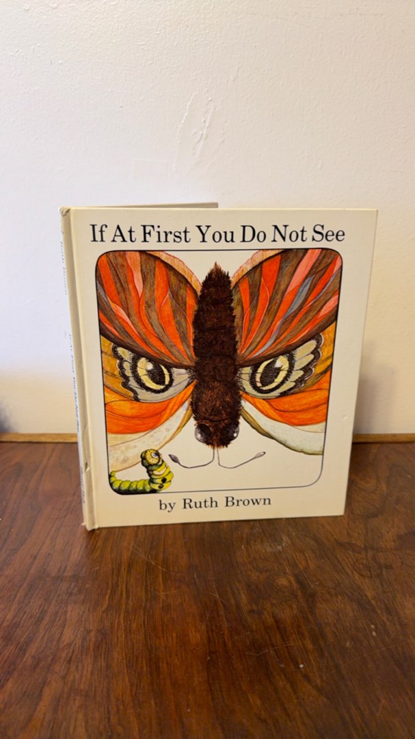 If at First You Do Not See