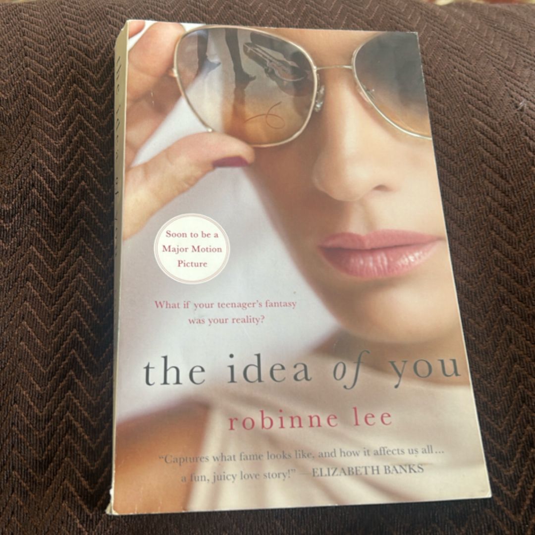 The Idea of You