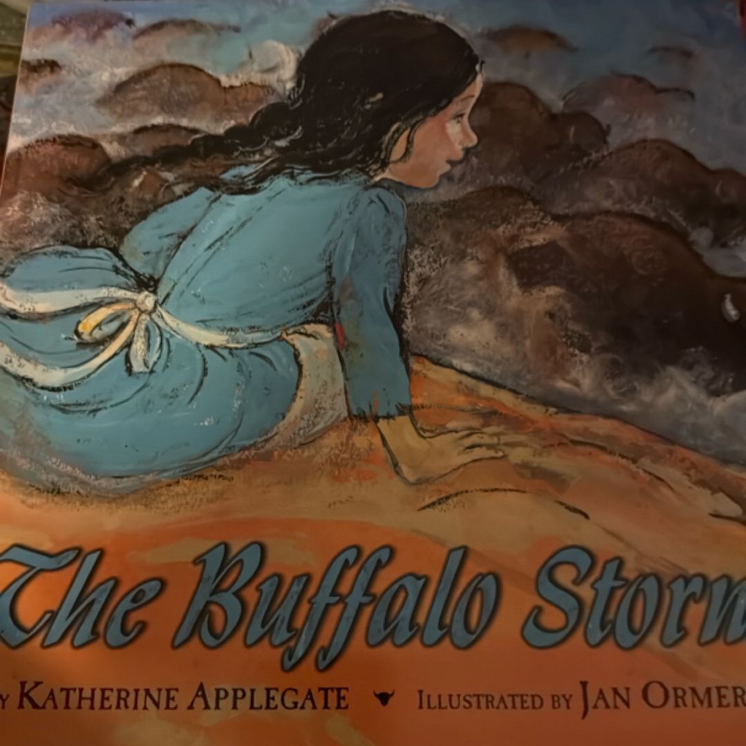 The Buffalo Storm
