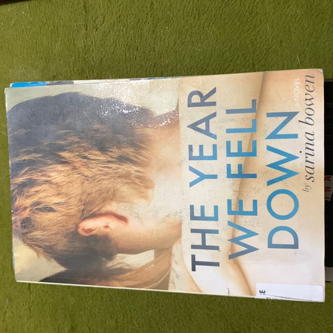 The Year We Fell Down