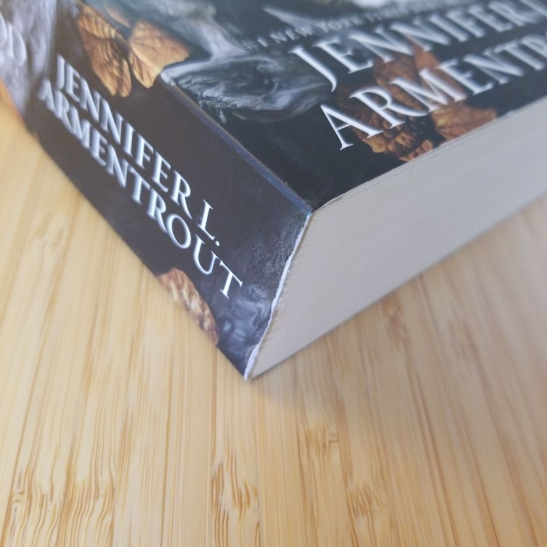 A Soul of Ash and Blood