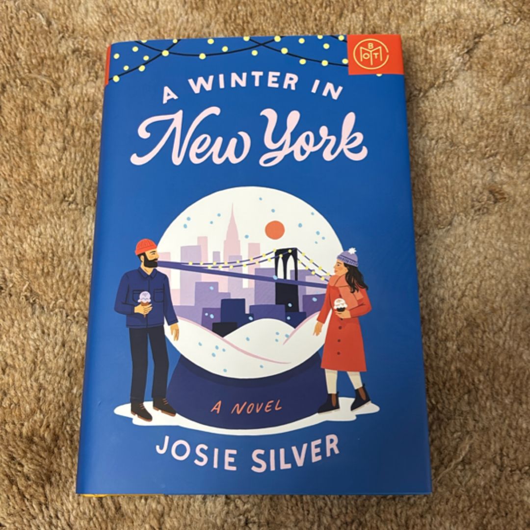 A Winter in New York