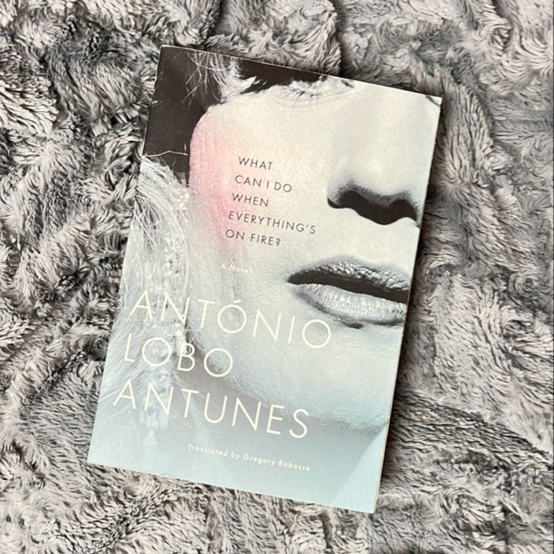 What Can I Do When Everything's on Fire? - 1st US Edition, 1st Printing