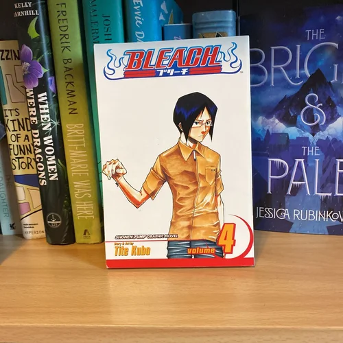 Bleach, Vol. 4