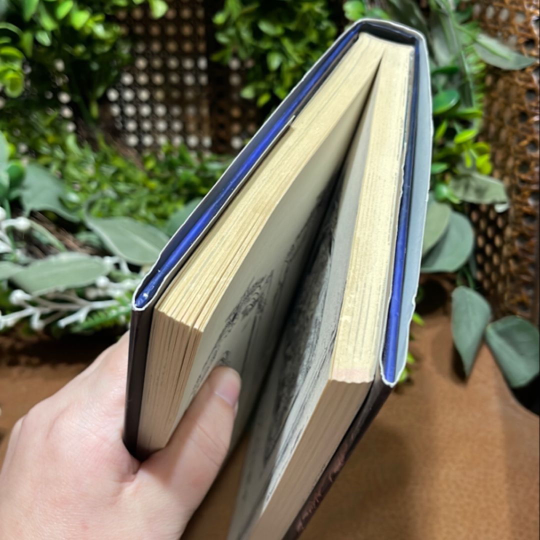 The Shadowhunter's Codex