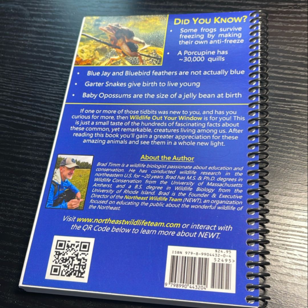 Wildlife Out Your Window