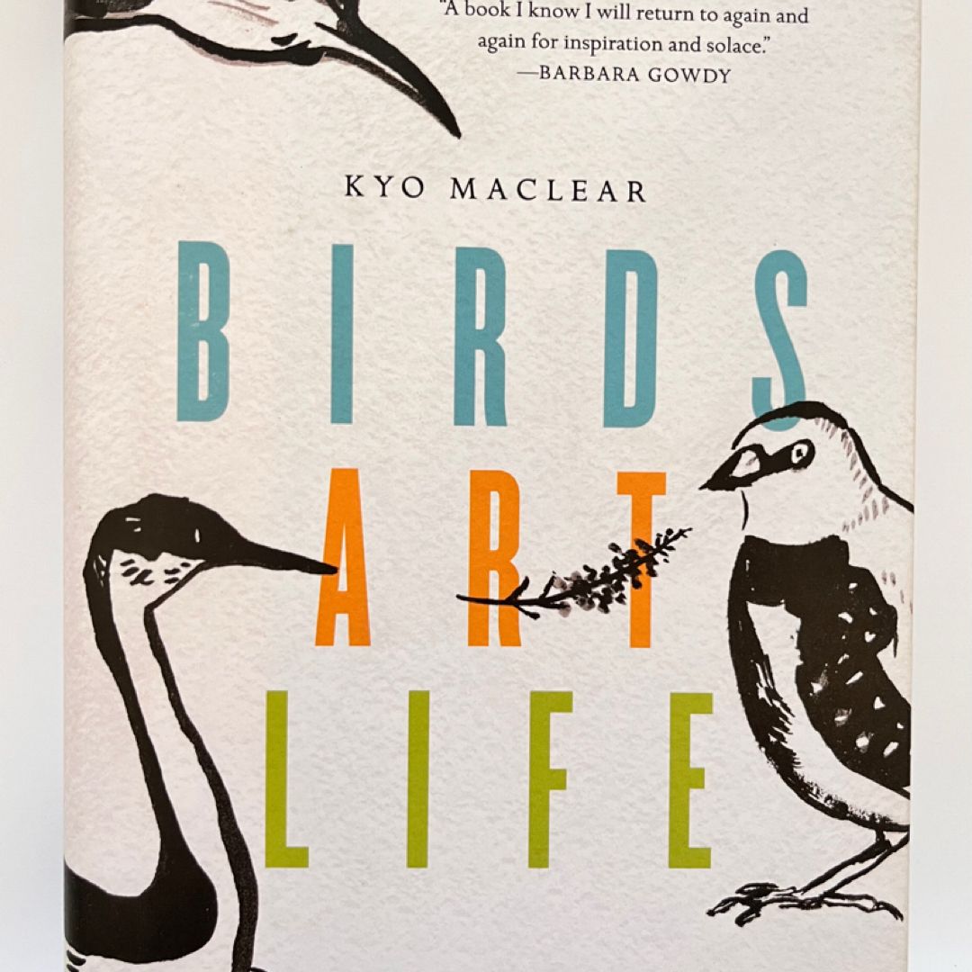 Birds Art Life