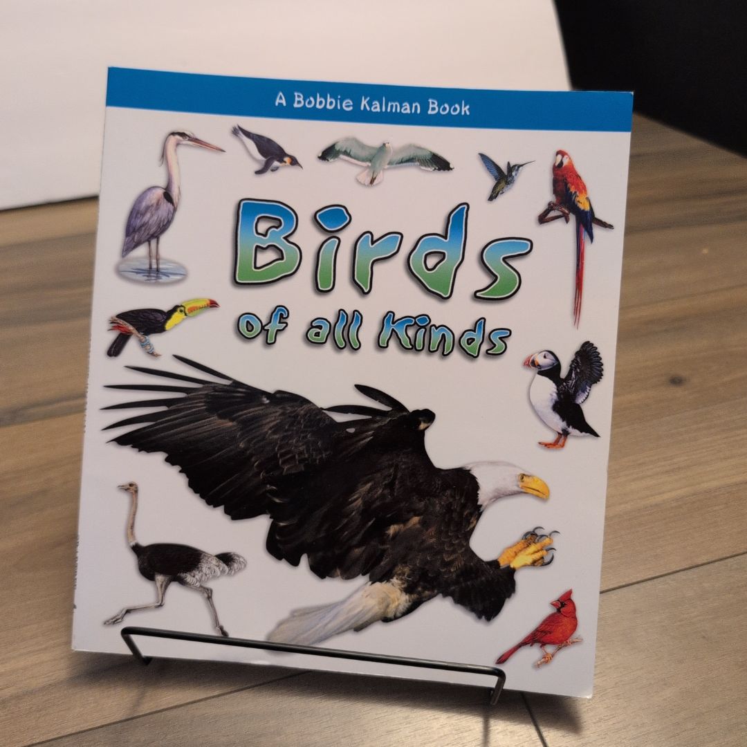 Birds of all Kinds