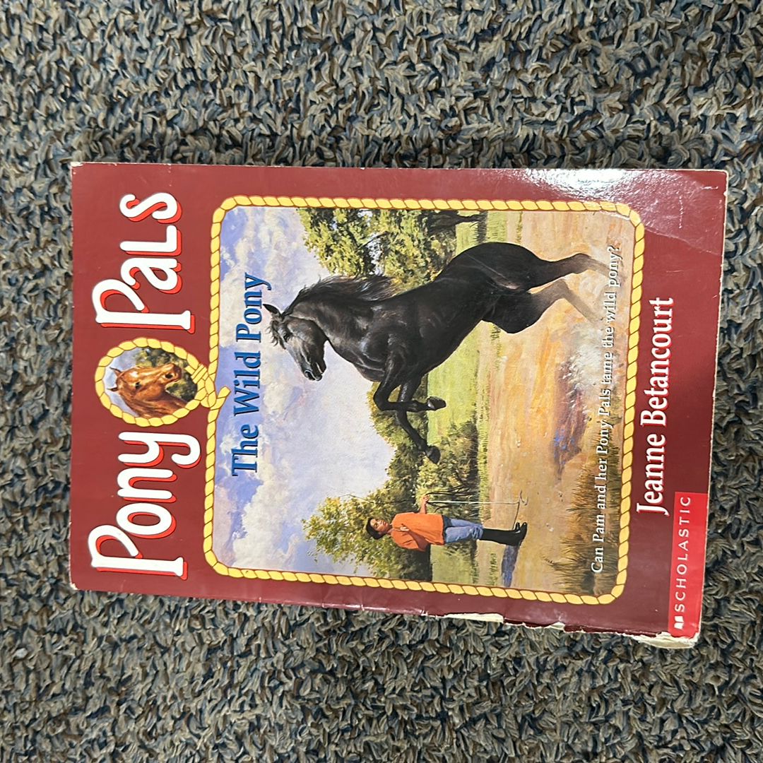 The Wild Pony