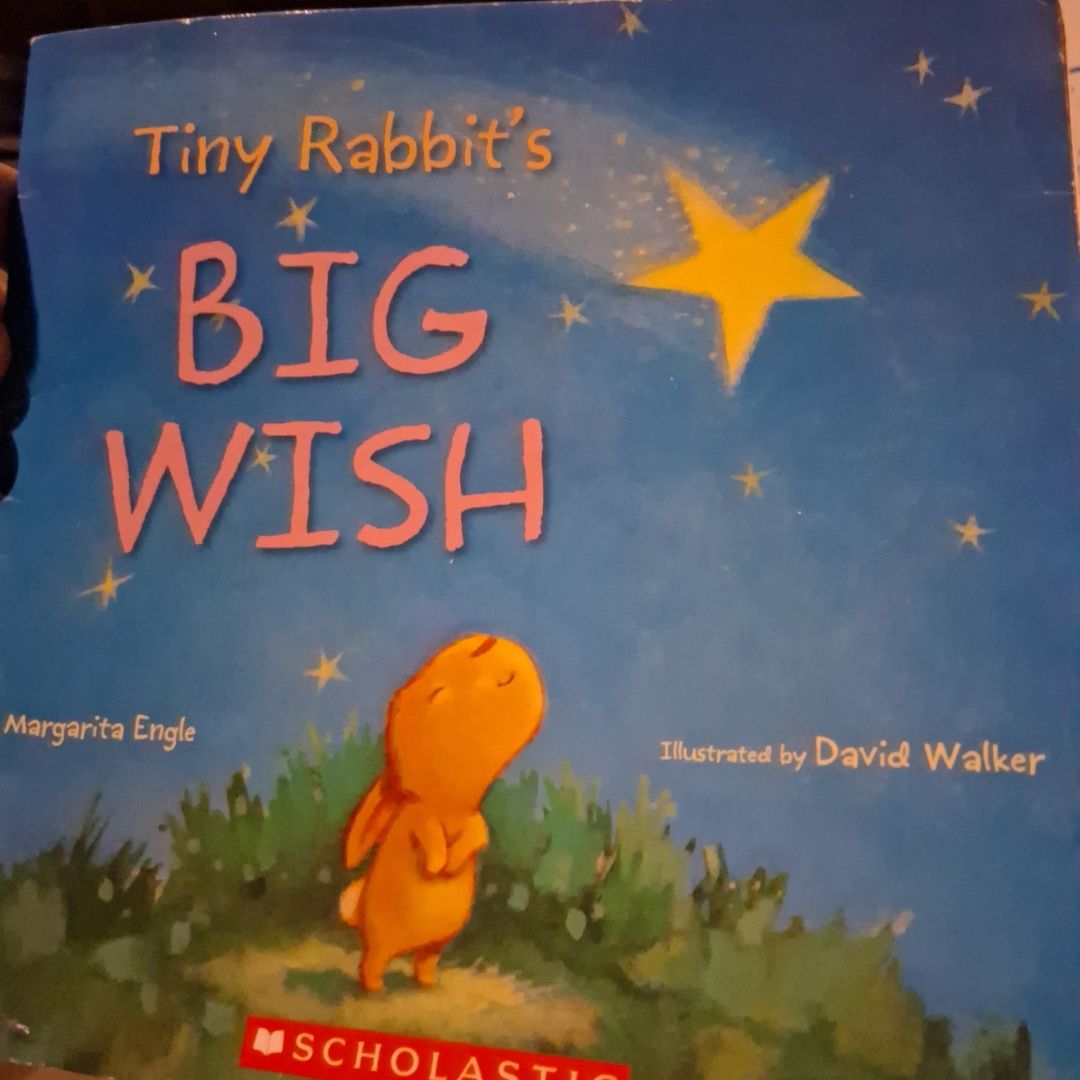 Tiny Rabbit's Big Wish