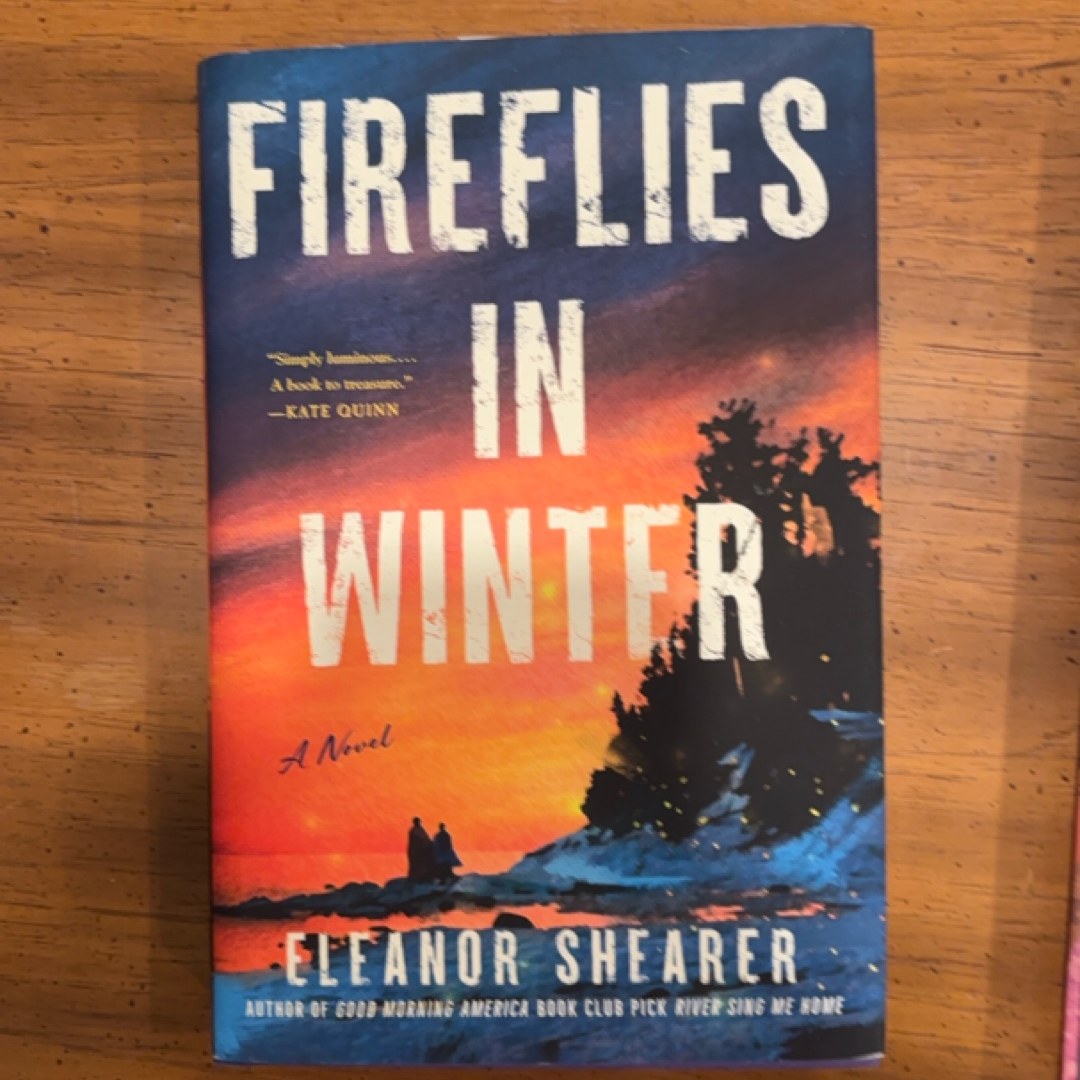Fireflies in Winter