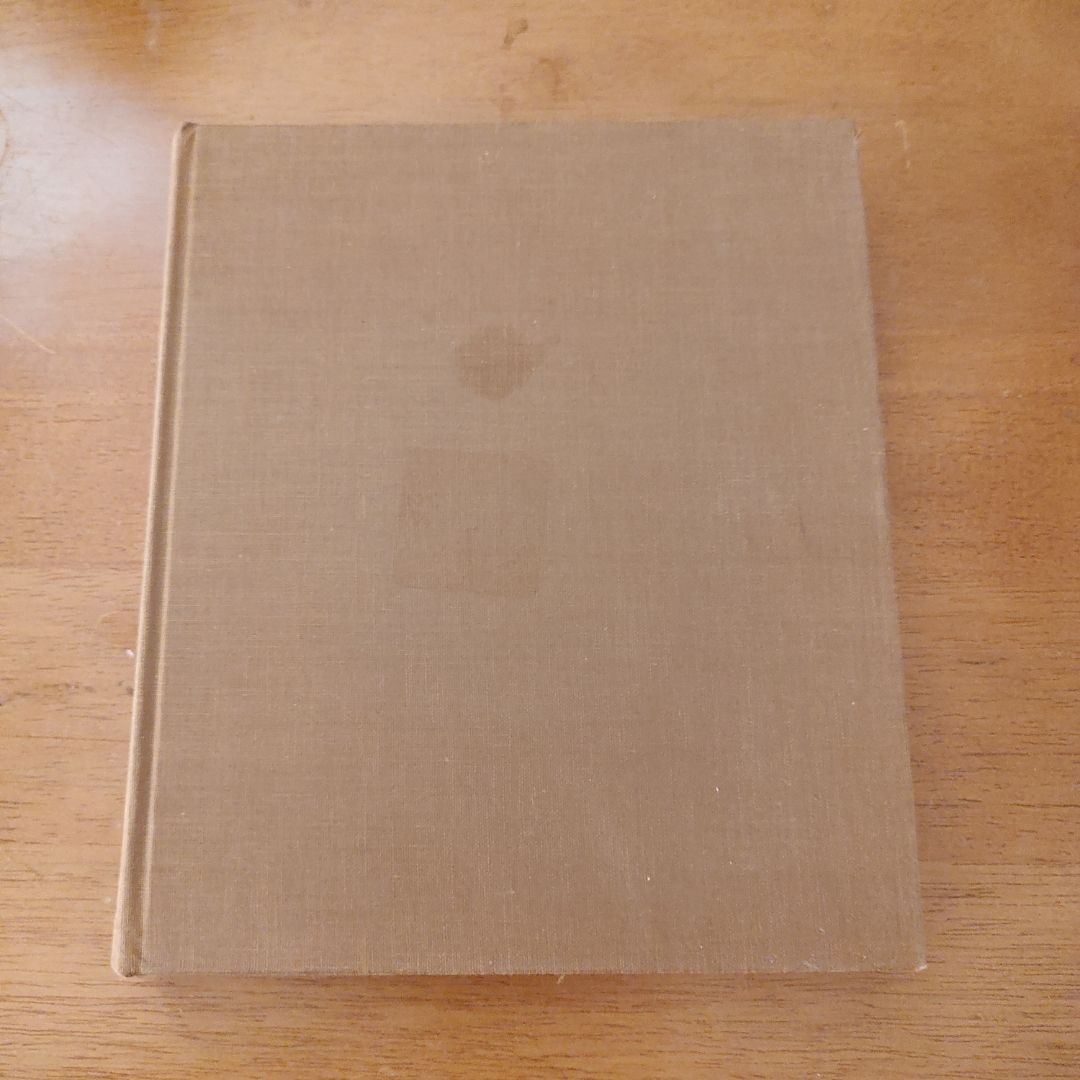 African and Oceanic Art