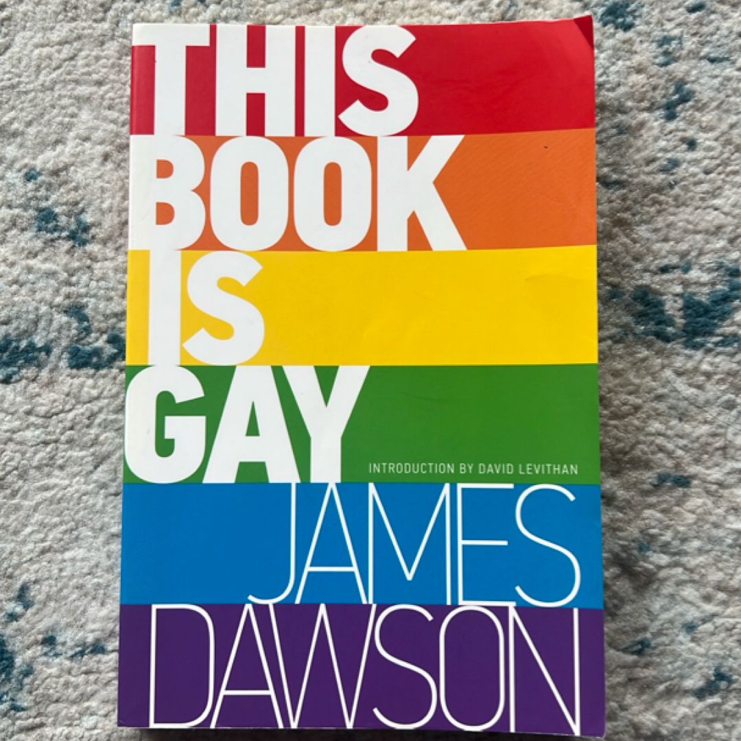 This Book Is Gay