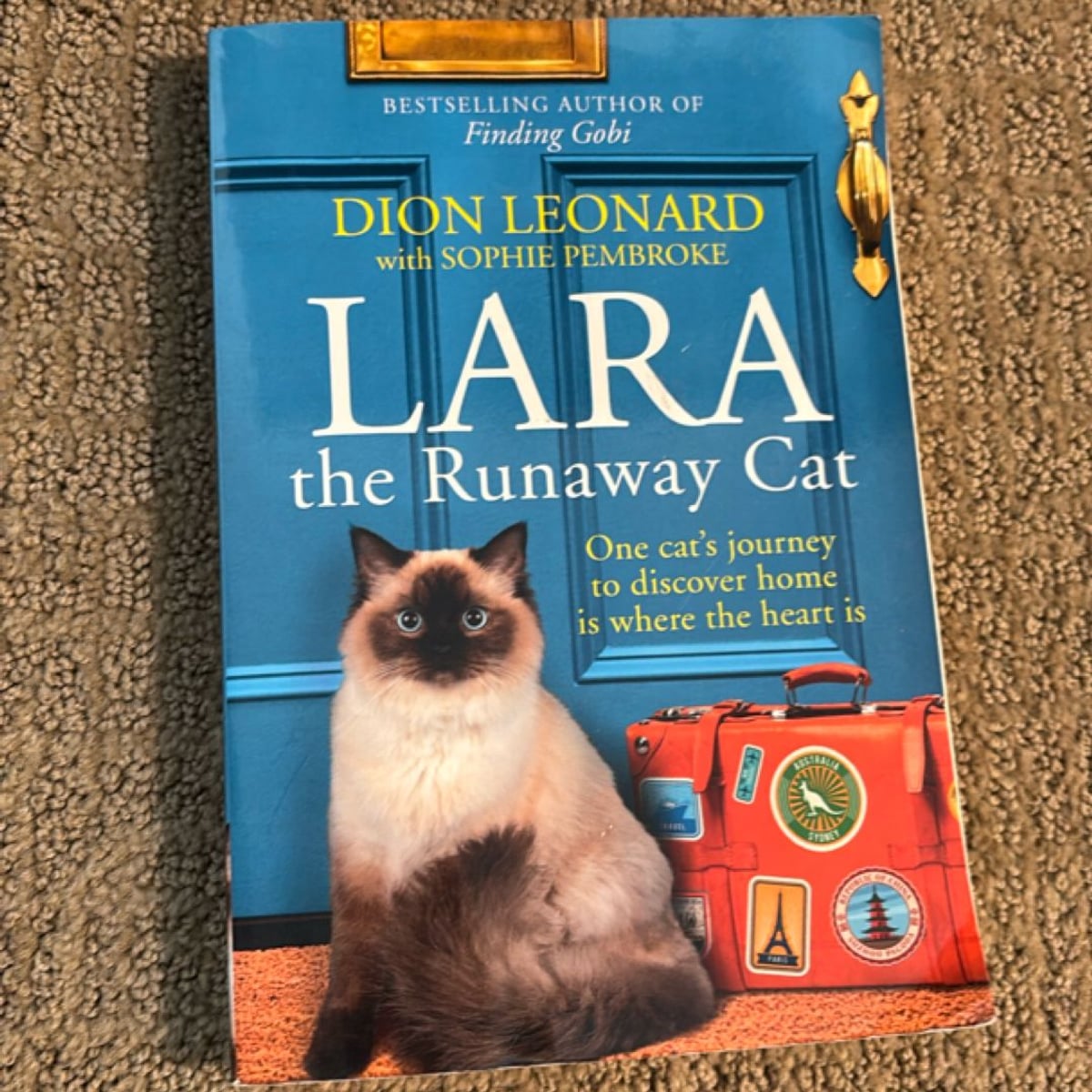 Lara the Runaway Cat by Dion Leonard