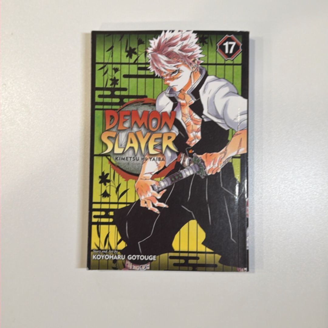 Demon Slayer: Kimetsu No Yaiba, Vol. 17