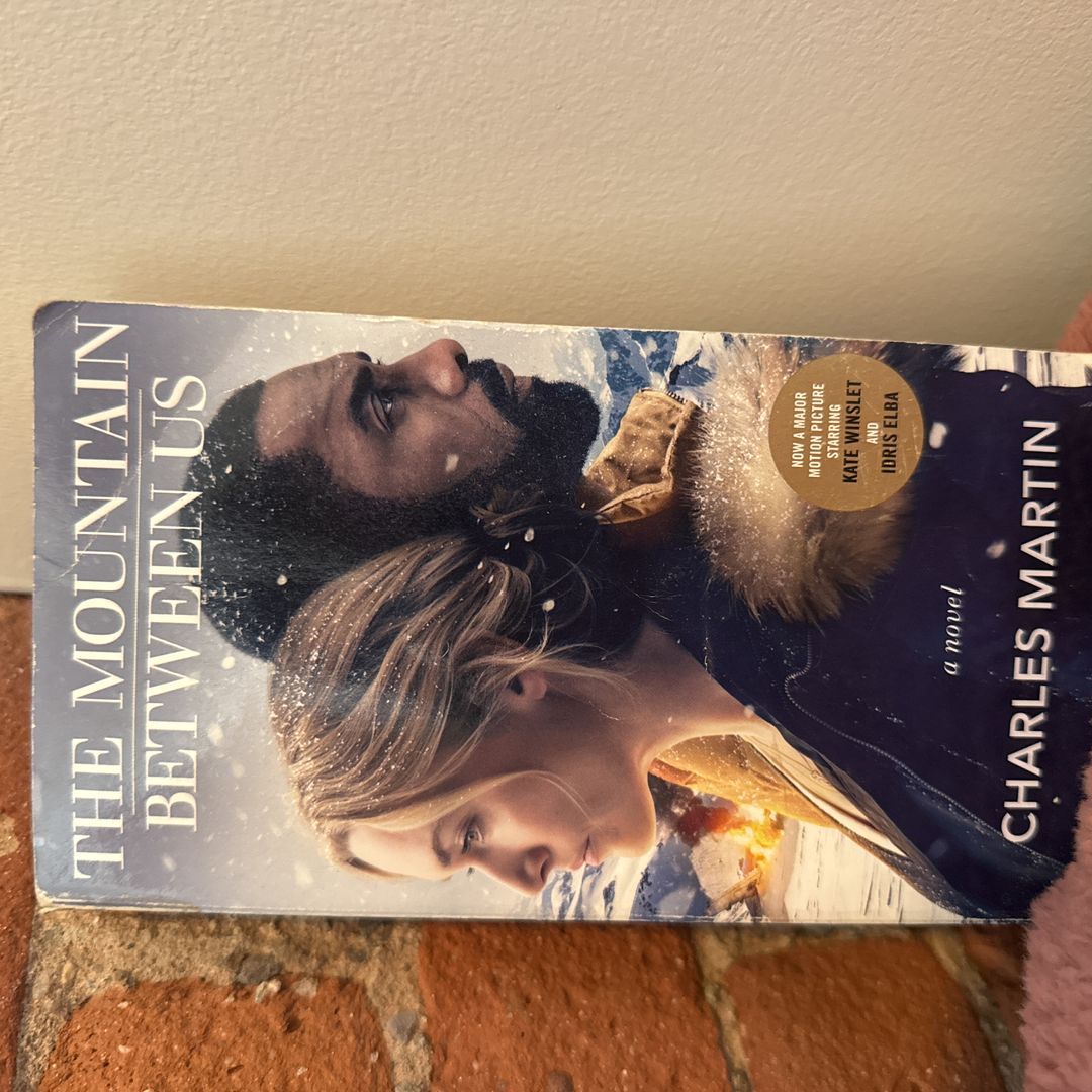 The Mountain Betweeb Us