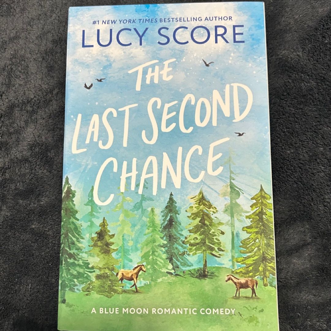 The Last Second Chance