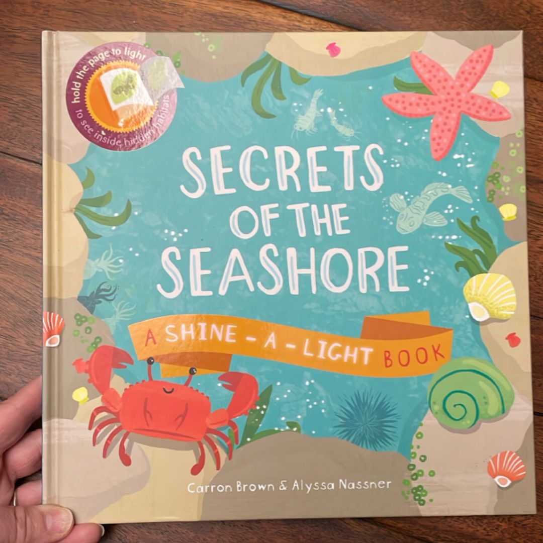 Secrets of the Seashore