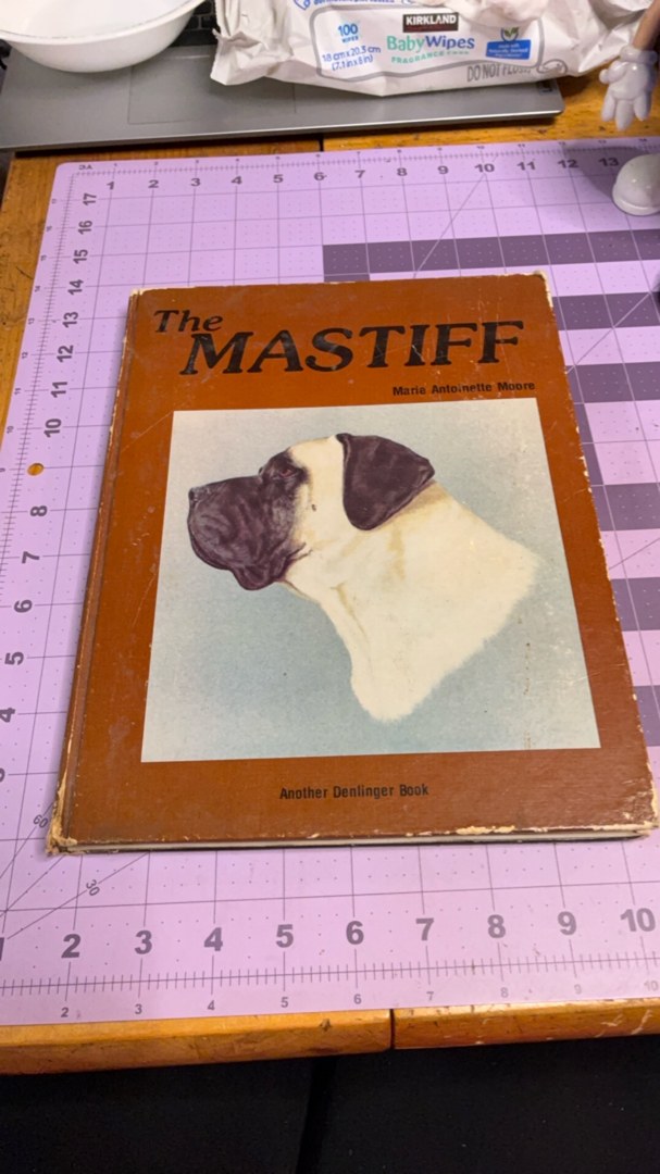 The Mastiff