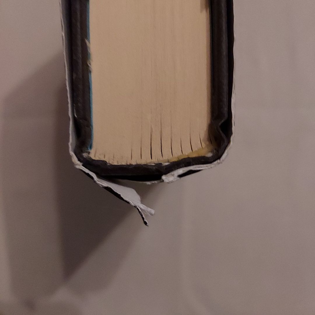 A Shadow Bright and Burning