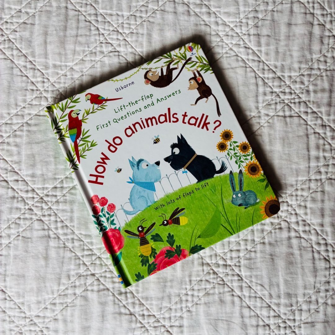 Lift-The-Flap First Questions and Answers