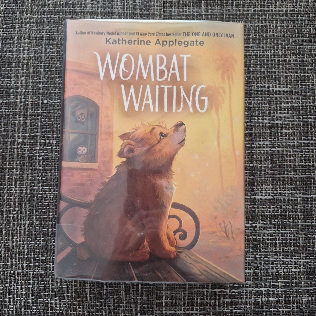 Wombat Waiting